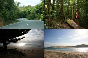 natur_northland