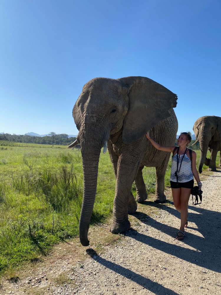 AAE422F2-0975-4330-BFEF-713547FD9B8E